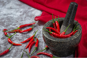 Chilli - JaasviEXIM