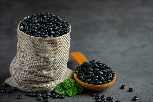 Pulses - JaasviEXIM